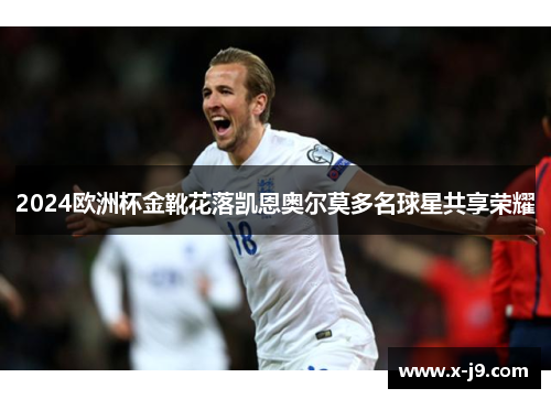 2024欧洲杯金靴花落凯恩奥尔莫多名球星共享荣耀
