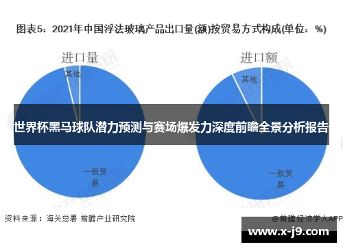 世界杯黑马球队潜力预测与赛场爆发力深度前瞻全景分析报告 世界杯黑马球队潜力预测与赛场爆发力深度前瞻全景分析报告